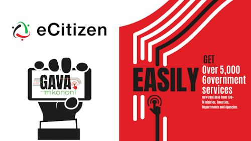 Government & Portal Services